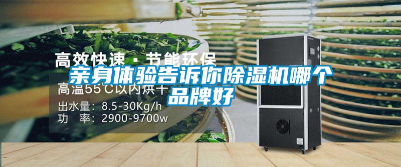 親身體驗告訴你除濕機哪個品牌好