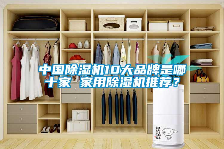 中國除濕機10大品牌是哪十家 家用除濕機推薦？