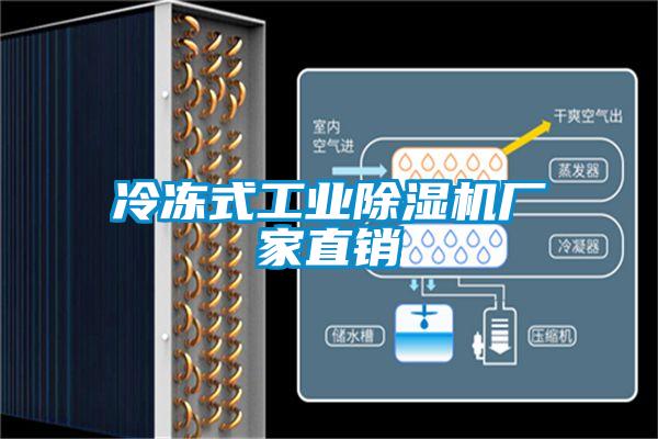 冷凍式工業除濕機廠家直銷