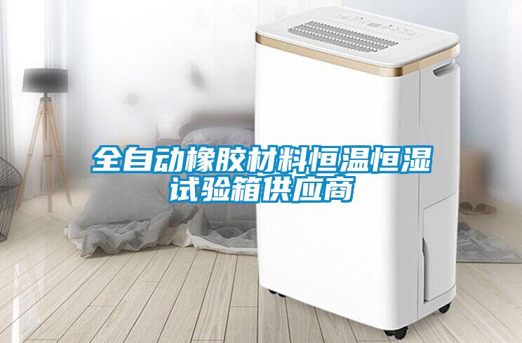 全自動橡膠材料恒溫恒濕試驗箱供應商