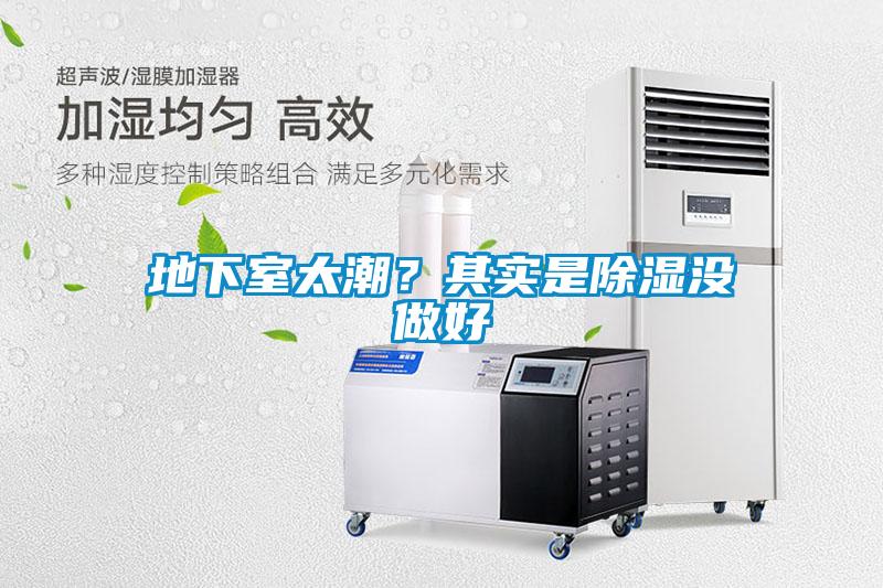 地下室太潮？其實是除濕沒做好