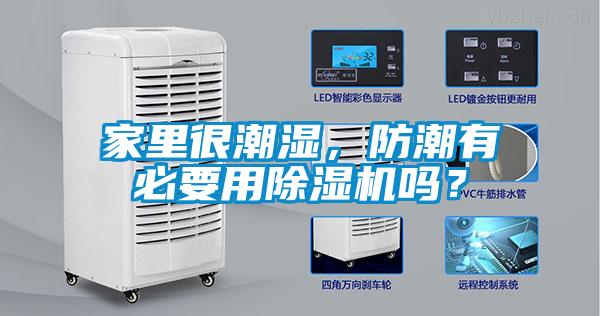家里很潮濕，防潮有必要用除濕機嗎？