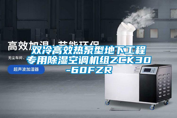 雙冷高效熱泵型地下工程專用除濕空調機組ZCK30-60FZR