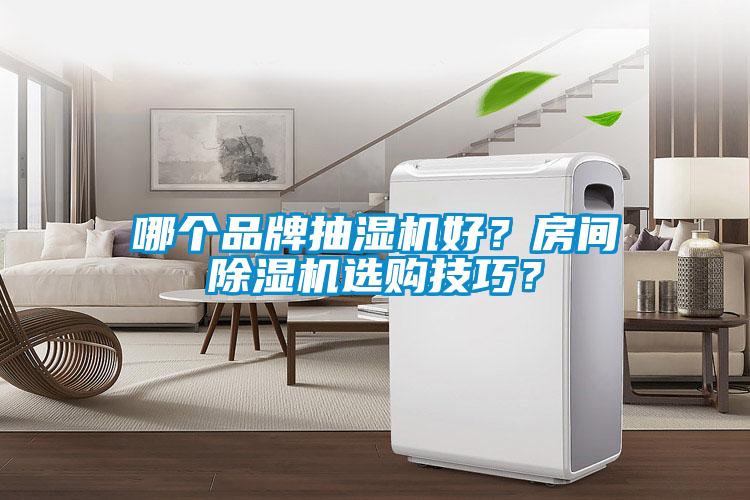 哪個(gè)品牌抽濕機(jī)好？房間除濕機(jī)選購技巧？