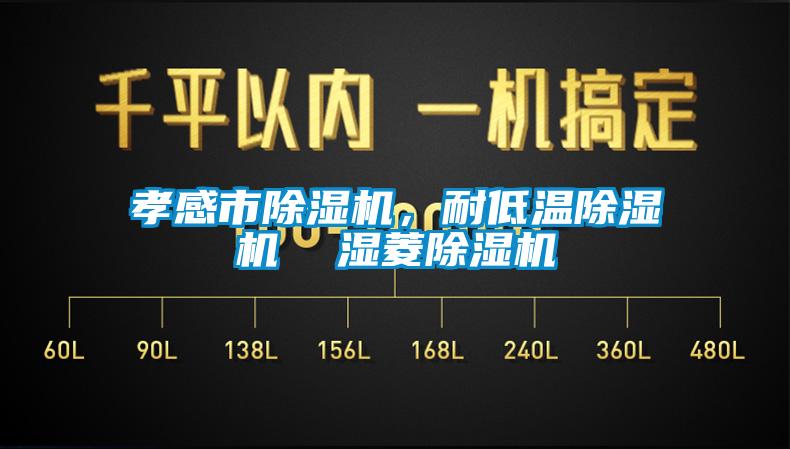 孝感市除濕機，耐低溫除濕機  濕菱除濕機