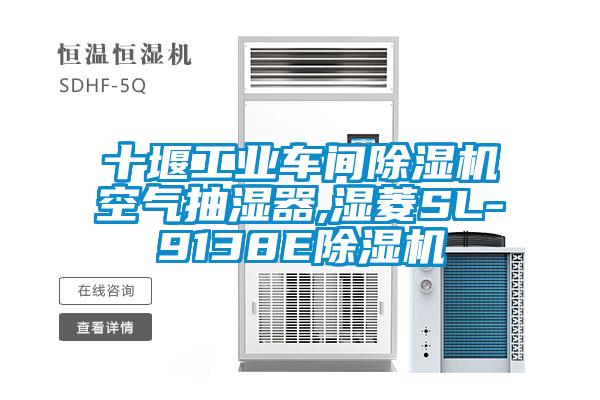 十堰工業車間除濕機空氣抽濕器,濕菱SL-9138E除濕機