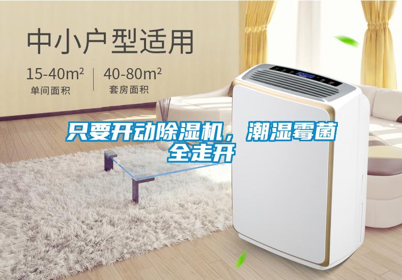 只要開動除濕機，潮濕霉菌全走開