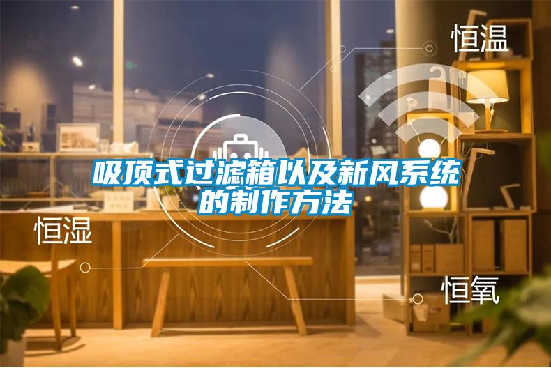 吸頂式過濾箱以及新風系統的制作方法