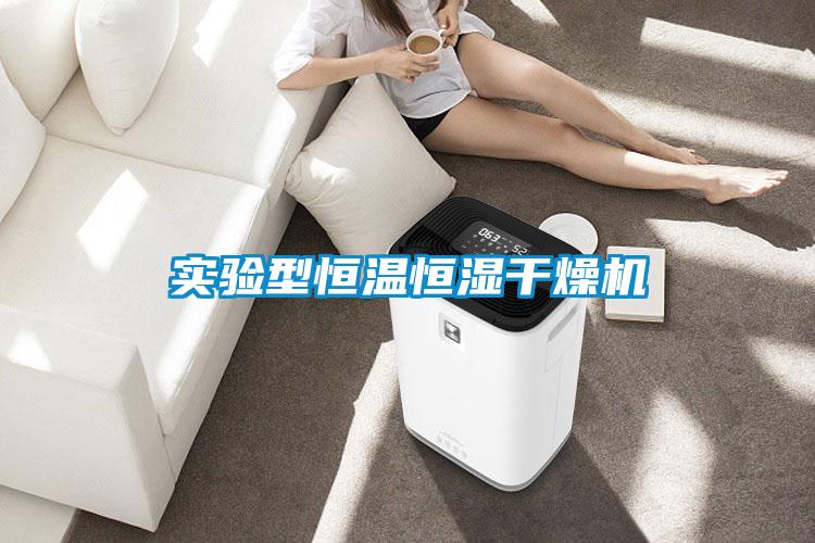 實驗型恒溫恒濕干燥機