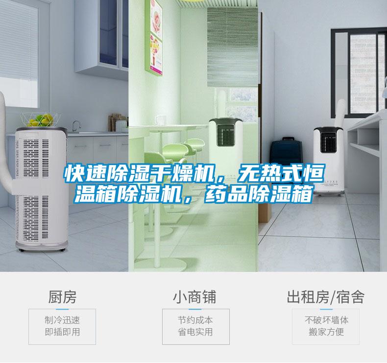 快速除濕干燥機，無熱式恒溫箱除濕機，藥品除濕箱