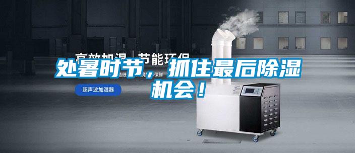 處暑時節，抓住最后除濕機會！