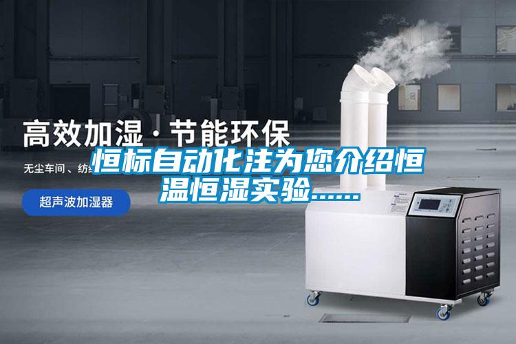 恒標自動化注為您介紹恒溫恒濕實驗......