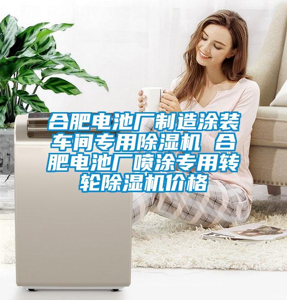 合肥電池廠制造涂裝車(chē)間專用除濕機(jī) 合肥電池廠噴涂專用轉(zhuǎn)輪除濕機(jī)價(jià)格