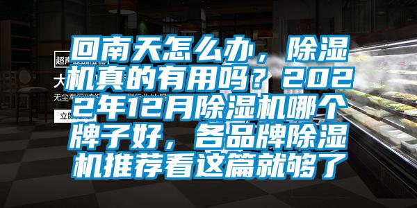 回南天怎么辦，除濕機真的有用嗎？2022年12月除濕機哪個牌子好，各品牌除濕機推薦看這篇就夠了