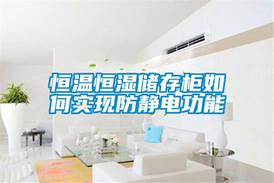 恒溫恒濕儲存柜如何實現防靜電功能
