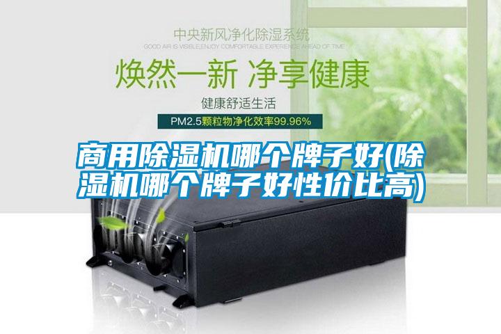 商用除濕機哪個牌子好(除濕機哪個牌子好性價比高)