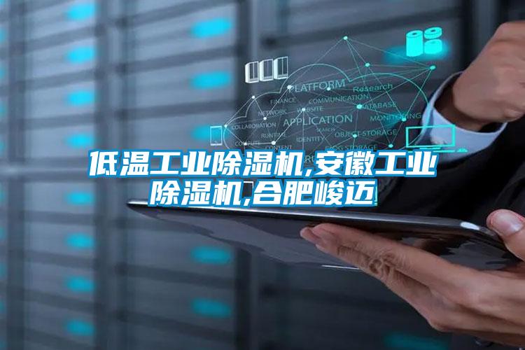 低溫工業除濕機,安徽工業除濕機,合肥峻邁