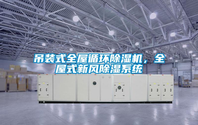 吊裝式全屋循環(huán)除濕機(jī)，全屋式新風(fēng)除濕系統(tǒng)