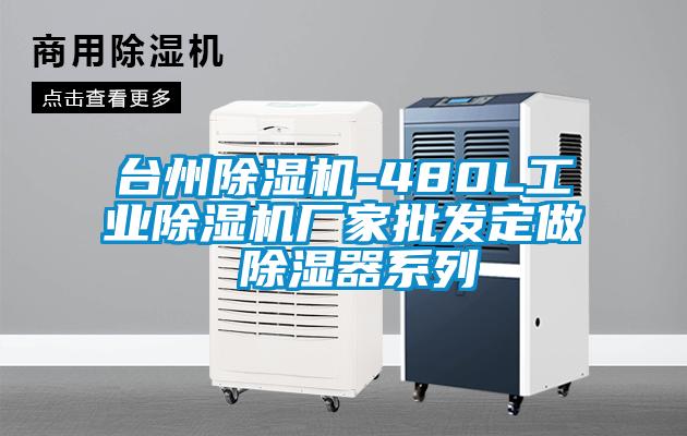 臺州除濕機-480L工業除濕機廠家批發定做 除濕器系列