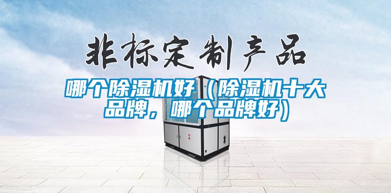 哪個除濕機好（除濕機十大品牌，哪個品牌好）