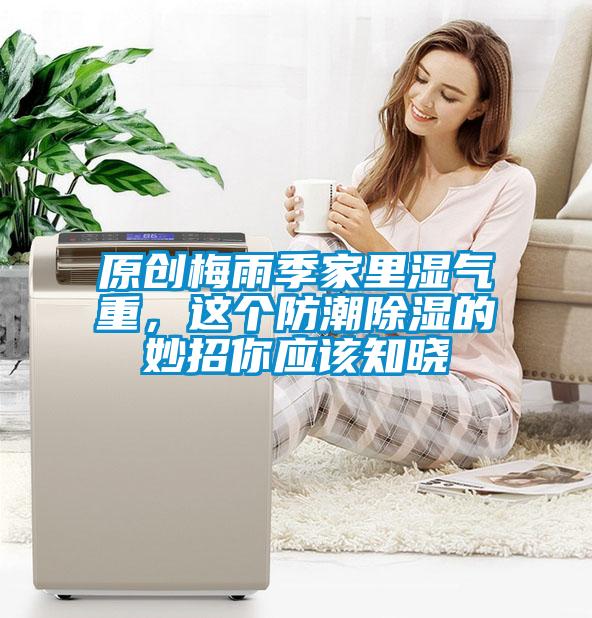 原創梅雨季家里濕氣重，這個防潮除濕的妙招你應該知曉