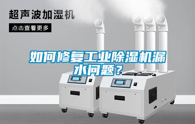 如何修復(fù)工業(yè)除濕機(jī)漏水問題？