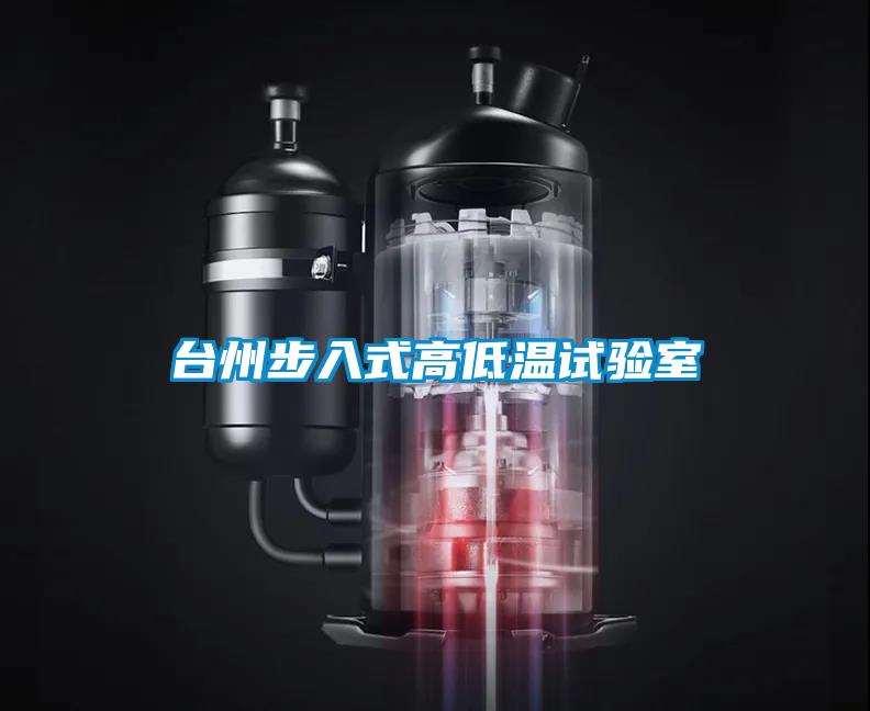 臺(tái)州步入式高低溫試驗(yàn)室
