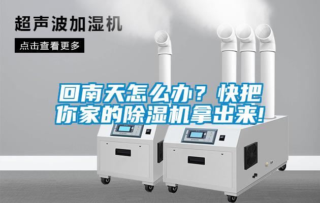 回南天怎么辦？快把你家的除濕機拿出來!