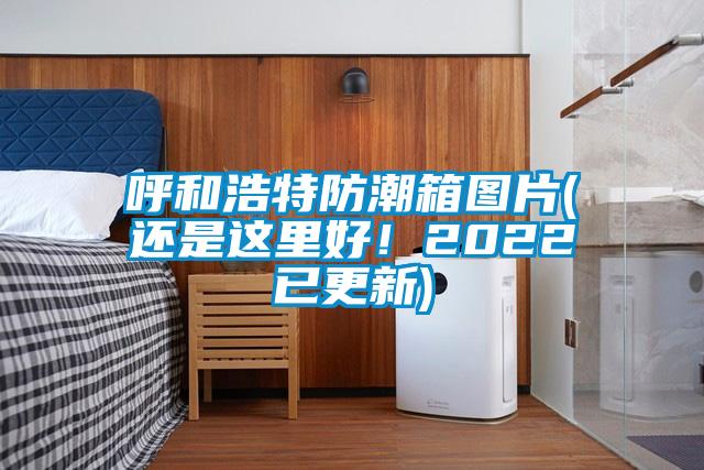 呼和浩特防潮箱圖片(還是這里好！2022已更新)