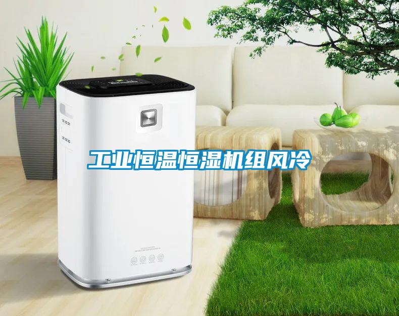 工業(yè)恒溫恒濕機(jī)組風(fēng)冷