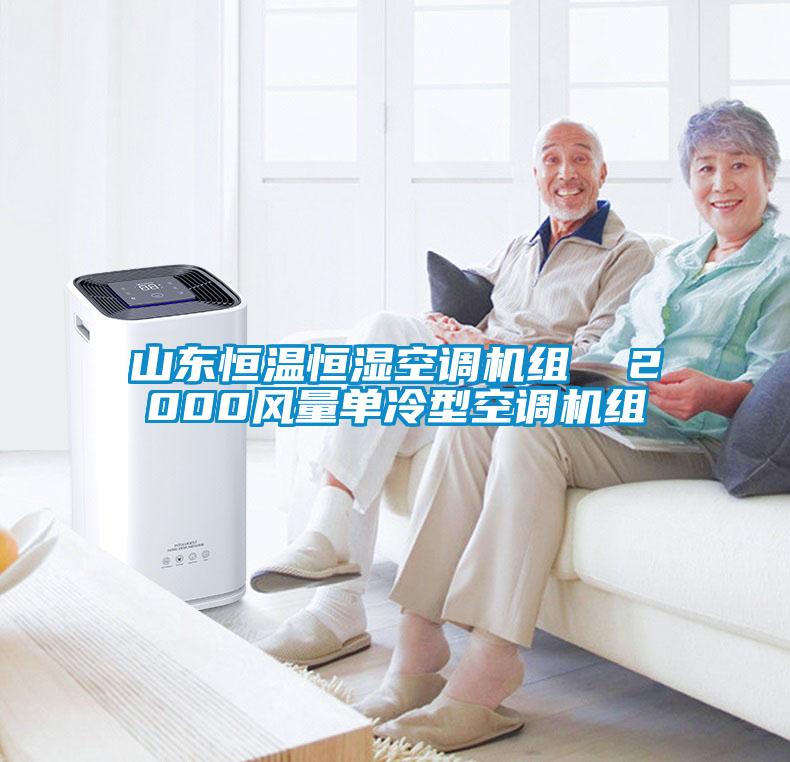 山東恒溫恒濕空調(diào)機組  2000風(fēng)量單冷型空調(diào)機組