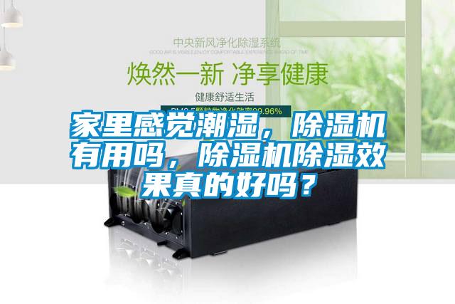 家里感覺潮濕，除濕機有用嗎，除濕機除濕效果真的好嗎？