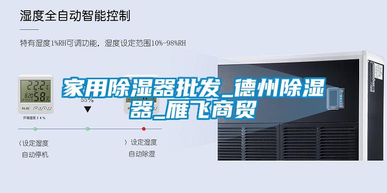 家用除濕器批發(fā)_德州除濕器_雁飛商貿(mào)