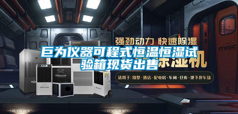 巨為儀器可程式恒溫恒濕試驗箱現貨出售