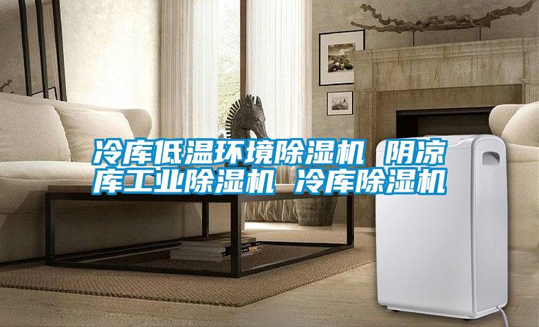 冷庫低溫環境除濕機 陰涼庫工業除濕機 冷庫除濕機