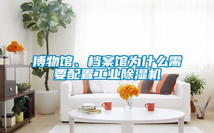 博物館、檔案館為什么需要配置工業(yè)除濕機(jī)