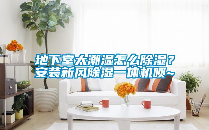 地下室太潮濕怎么除濕？安裝新風除濕一體機唄~