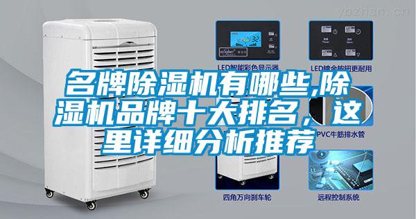 名牌除濕機有哪些,除濕機品牌十大排名，這里詳細分析推薦