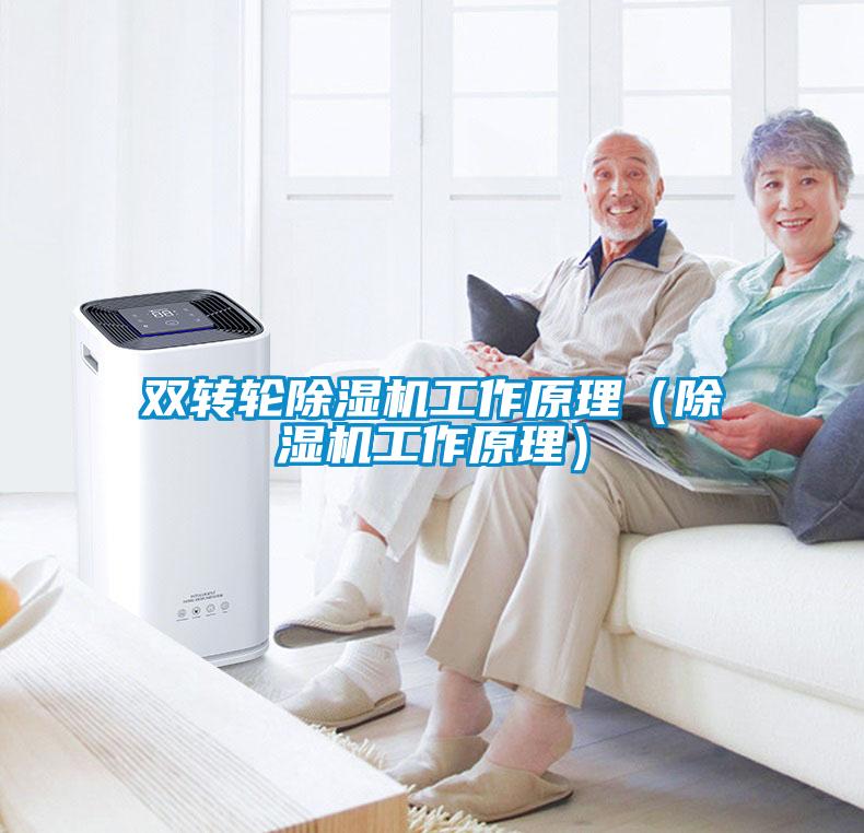 雙轉輪除濕機工作原理（除濕機工作原理）