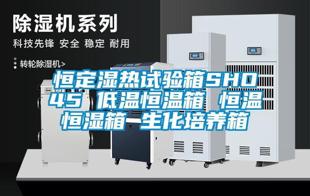 恒定濕熱試驗(yàn)箱SHO45 低溫恒溫箱 恒溫恒濕箱 生化培養(yǎng)箱