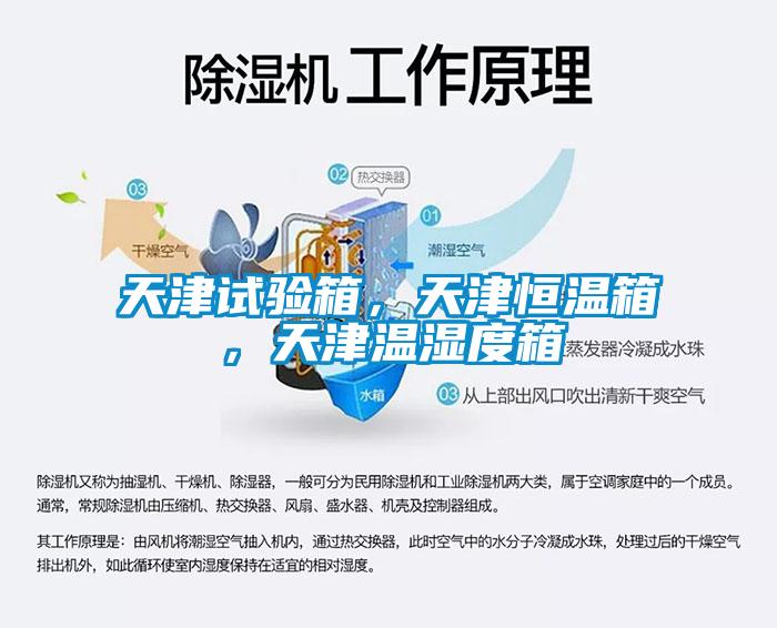 天津試驗箱，天津恒溫箱，天津溫濕度箱