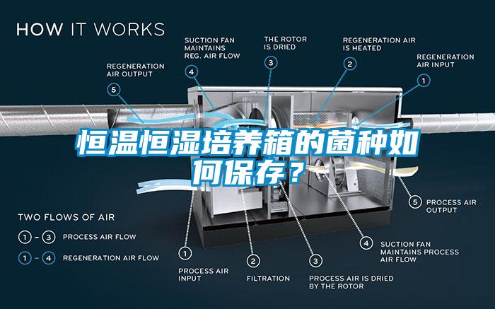 恒溫恒濕培養箱的菌種如何保存？