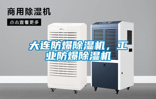 大連防爆除濕機，工業防爆除濕機