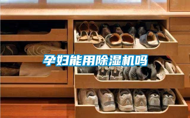 孕婦能用除濕機嗎