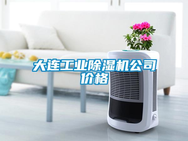 大連工業除濕機公司價格