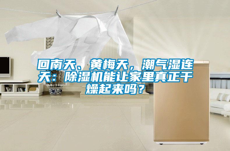 回南天、黃梅天，潮氣濕連天：除濕機能讓家里真正干燥起來嗎？