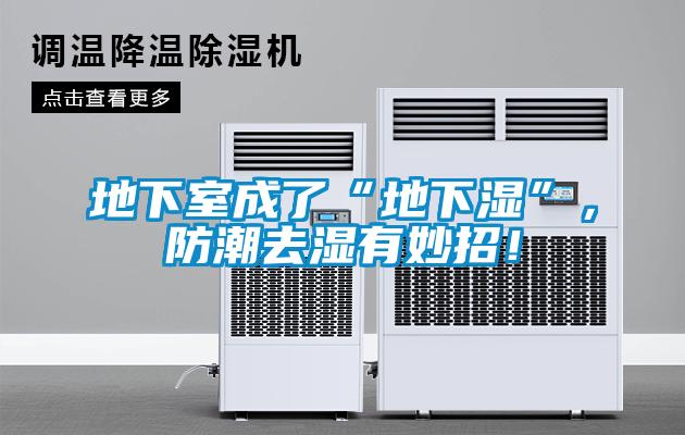 地下室成了“地下濕”，防潮去濕有妙招！