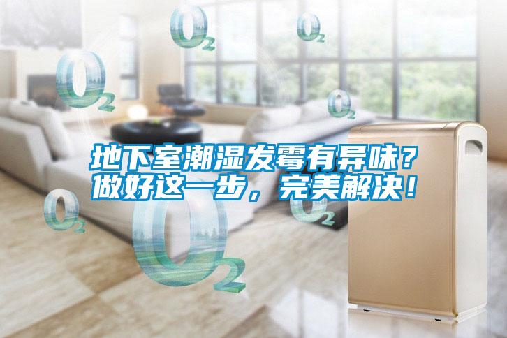 地下室潮濕發(fā)霉有異味？做好這一步，完美解決！