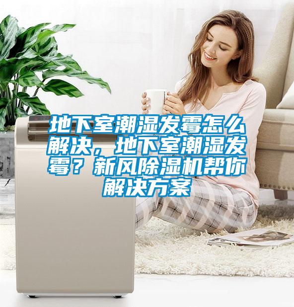 地下室潮濕發霉怎么解決，地下室潮濕發霉？新風除濕機幫你解決方案