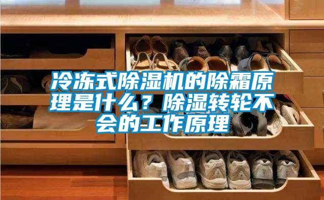 冷凍式除濕機的除霜原理是什么？除濕轉輪不會的工作原理